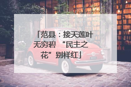范县：接天莲叶无穷碧 “民主之花”别样红