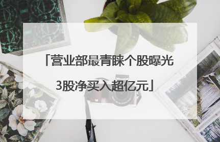 营业部最青睐个股曝光 3股净买入超亿元