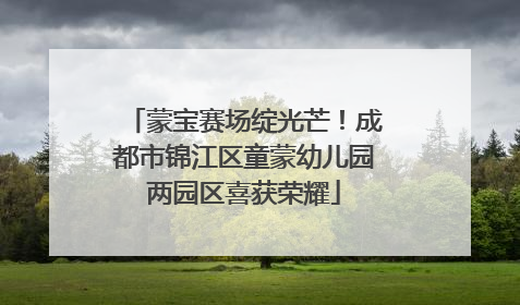 蒙宝赛场绽光芒！成都市锦江区童蒙幼儿园两园区喜获荣耀