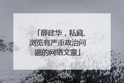 薛建华，私藏、浏览有严重政治问题的网络文章