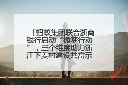 蚂蚁集团联合浙商银行启动“栀梦行动”，三个维度助力浙江下姜村建设共富示范区示范点
