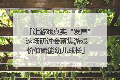 让游戏真实“发声” 这场研讨会聚焦游戏价值赋能幼儿成长