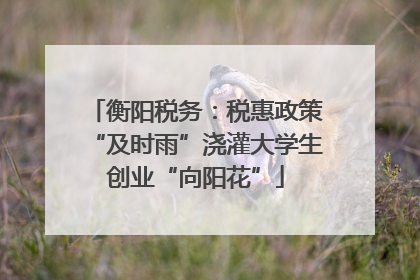 衡阳税务：税惠政策“及时雨”浇灌大学生创业“向阳花”