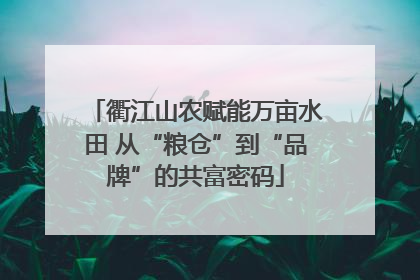 衢江山农赋能万亩水田 从“粮仓”到“品牌”的共富密码