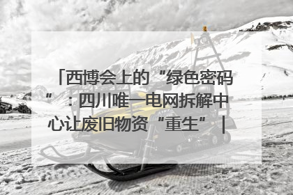 西博会上的“绿色密码”：四川唯一电网拆解中心让废旧物资“重生”｜西博寻“新”记