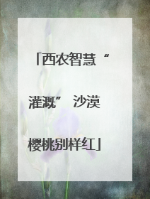 西农智慧“灌溉” 沙漠樱桃别样红