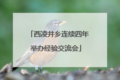 西凌井乡连续四年举办经验交流会