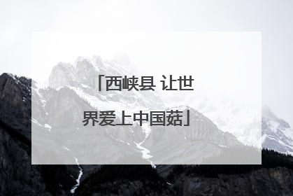 西峡县 让世界爱上中国菇