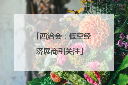 西洽会：低空经济展商引关注