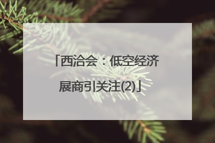 西洽会：低空经济展商引关注(2)