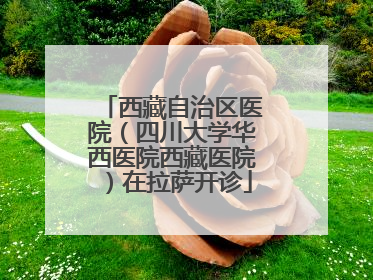 西藏自治区医院（四川大学华西医院西藏医院）在拉萨开诊