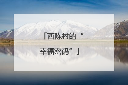 西陈村的“幸福密码”