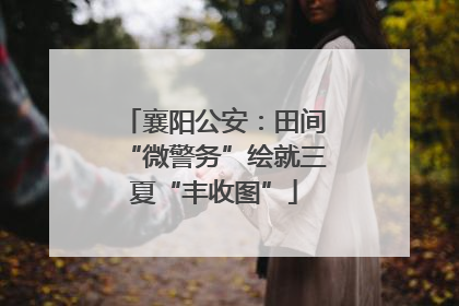 襄阳公安：田间“微警务”绘就三夏“丰收图”