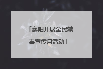 襄阳开展全民禁毒宣传月活动