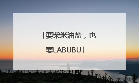 要柴米油盐，也要LABUBU