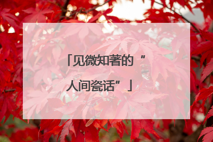 见微知著的“人间瓷话”