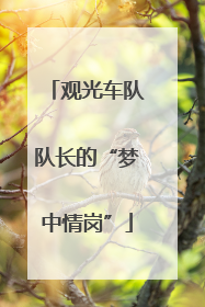 观光车队队长的“梦中情岗”