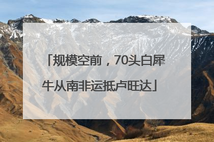 规模空前，70头白犀牛从南非运抵卢旺达