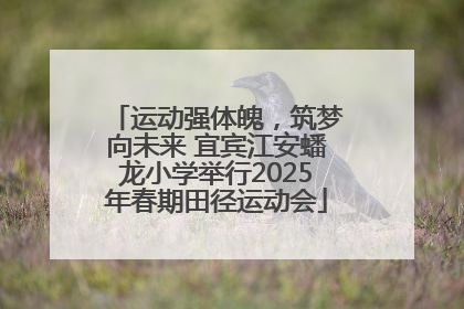 运动强体魄，筑梦向未来 宜宾江安蟠龙小学举行2025年春期田径运动会
