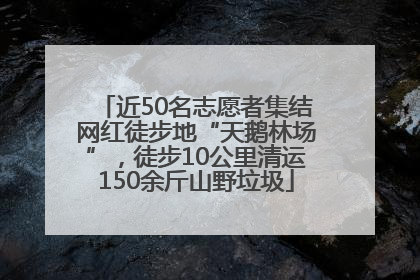 近50名志愿者集结网红徒步地“天鹅林场”，徒步10公里清运150余斤山野垃圾