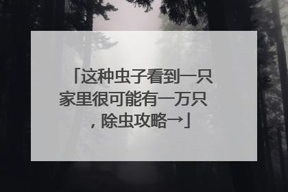这种虫子看到一只家里很可能有一万只，除虫攻略→