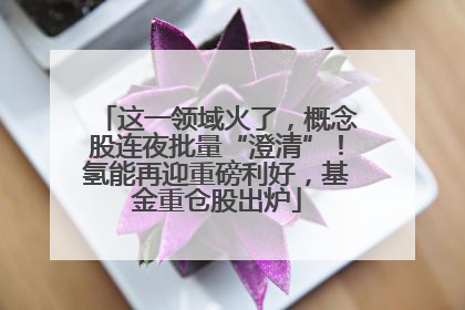这一领域火了，概念股连夜批量“澄清”！氢能再迎重磅利好，基金重仓股出炉