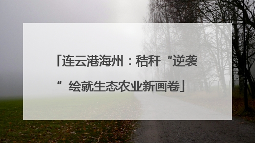 连云港海州：秸秆“逆袭”绘就生态农业新画卷