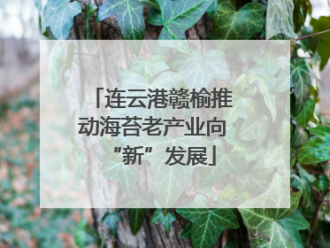 连云港赣榆推动海苔老产业向“新”发展