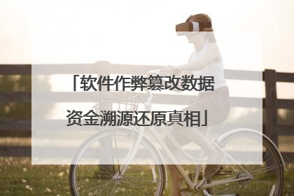 软件作弊篡改数据 资金溯源还原真相