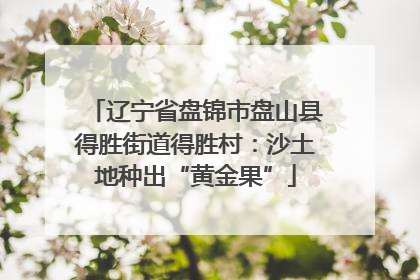 辽宁省盘锦市盘山县得胜街道得胜村：沙土地种出“黄金果”