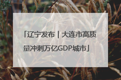 辽宁发布｜大连市高质量冲刺万亿GDP城市