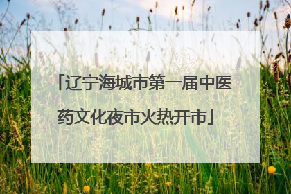 辽宁海城市第一届中医药文化夜市火热开市