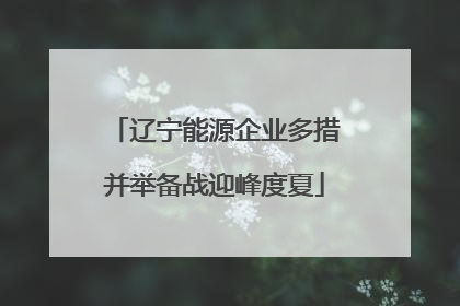 辽宁能源企业多措并举备战迎峰度夏