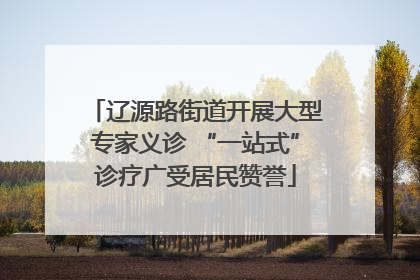 辽源路街道开展大型专家义诊 “一站式”诊疗广受居民赞誉