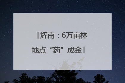 辉南：6万亩林地点“药”成金