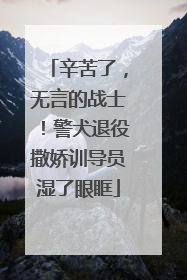 辛苦了，无言的战士！警犬退役撒娇训导员湿了眼眶