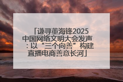 谦寻董海锋2025中国网络文明大会发声：以“三个向善”构建直播电商善意长河