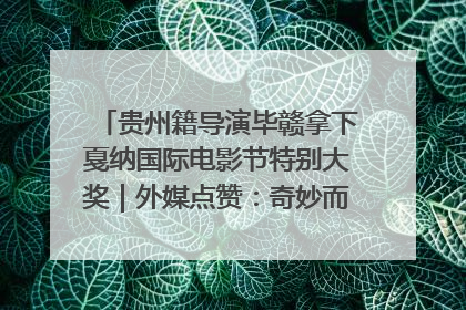 贵州籍导演毕赣拿下戛纳国际电影节特别大奖｜外媒点赞：奇妙而广阔的纯粹电影梦