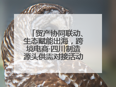贸产协同联动、生态赋能出海，跨境电商·四川制造源头供需对接活动在成都举办