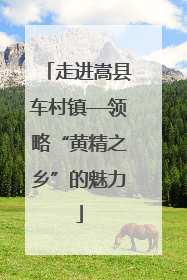 走进嵩县车村镇—领略“黄精之乡”的魅力