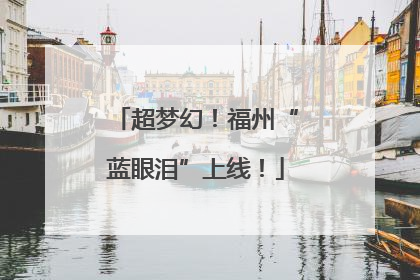 超梦幻！福州“蓝眼泪”上线！