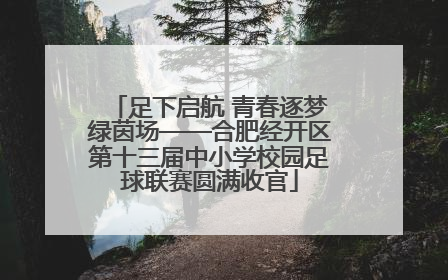 足下启航 青春逐梦绿茵场——合肥经开区第十三届中小学校园足球联赛圆满收官