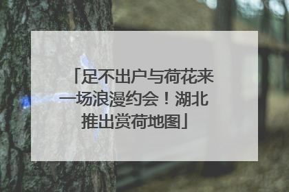 足不出户与荷花来一场浪漫约会！湖北推出赏荷地图