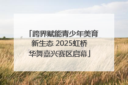 跨界赋能青少年美育新生态 2025虹桥华舞嘉兴赛区启幕