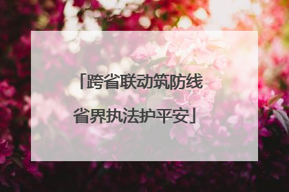 跨省联动筑防线 省界执法护平安