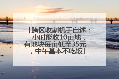 跨区收割机手自述：一小时能收10亩地，有地块每亩低至35元，中午基本不吃饭