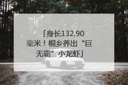 身长132.90毫米！桐乡养出“巨无霸”小龙虾