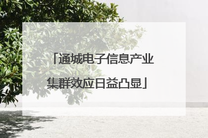 通城电子信息产业集群效应日益凸显