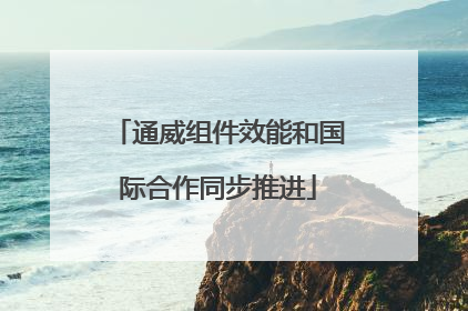 通威组件效能和国际合作同步推进