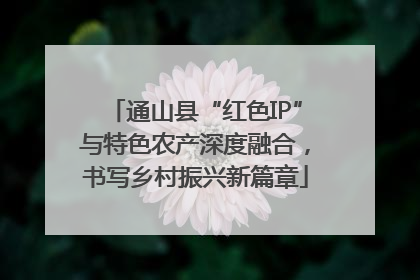 通山县“红色IP”与特色农产深度融合，书写乡村振兴新篇章